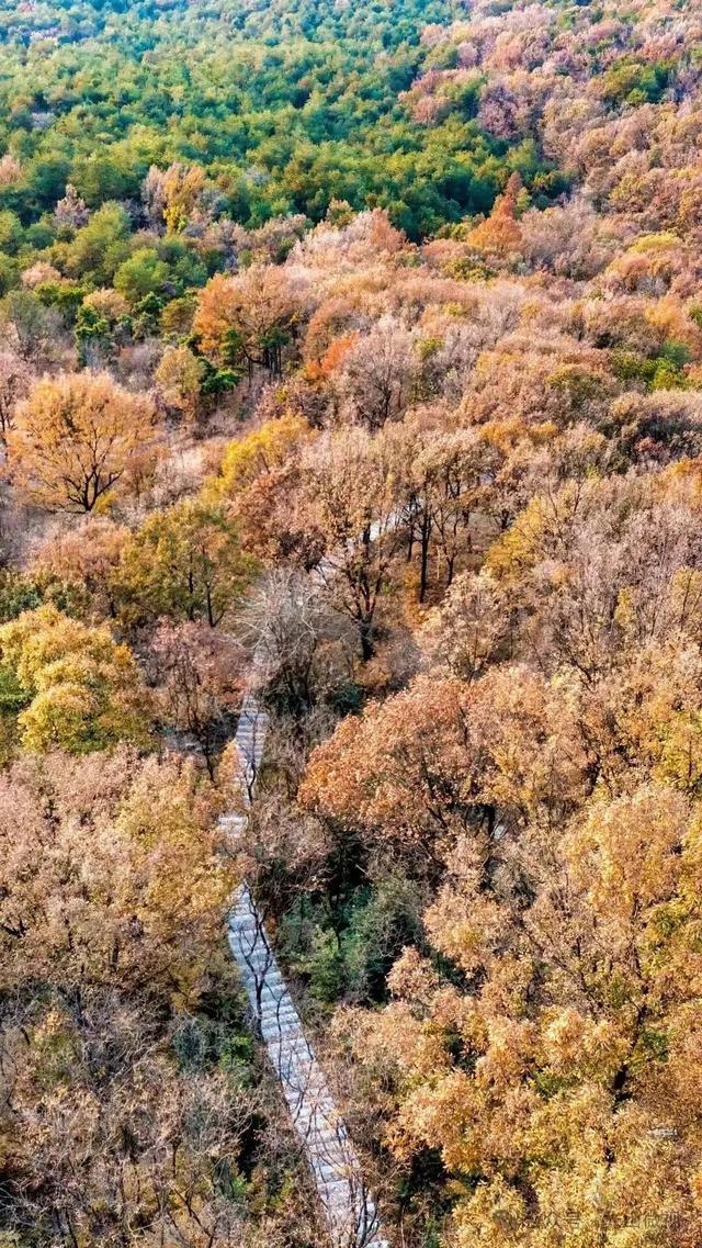 信阳十个醉美秋景等你打卡，来看光山哪些景区上榜