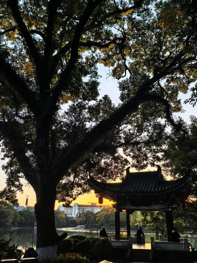 桂林:邂逅榕湖别样情!