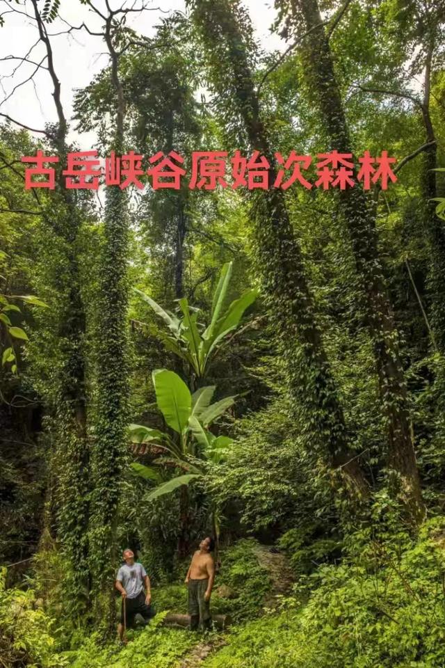 藏不住了！邵阳这条能吃能玩还能“养”的线路，想N刷！