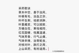 回归农村去山里采中草药，这个采药歌诀要保存好！图片