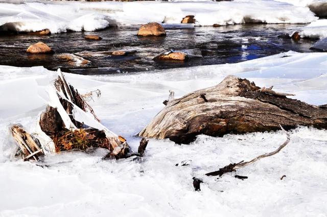 别再只盯着桃花了！林芝的雪山湖泊春天一样封神