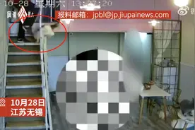 孩子在猫咖被吓哭男子一脚将猫踹下楼，店主回应：猫的腹部有钝痛感，不欢迎这样的客人图片