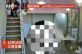 孩子在猫咖被吓哭男子一脚将猫踹下楼，店主回应：猫的腹部有钝痛感，不欢迎这样的客人图片