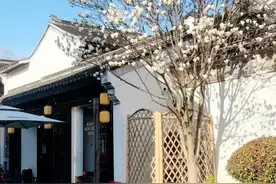 限时打卡！苏州斜塘绝美玉兰已上线图片