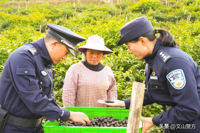 打卡文山最美秋冬，这份攻略千万别错过！