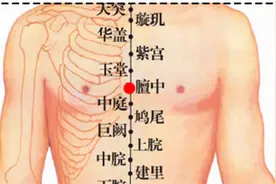 读错了！“膻中穴”的“膻”不读“tán”不读“shān”，该咋读？图片