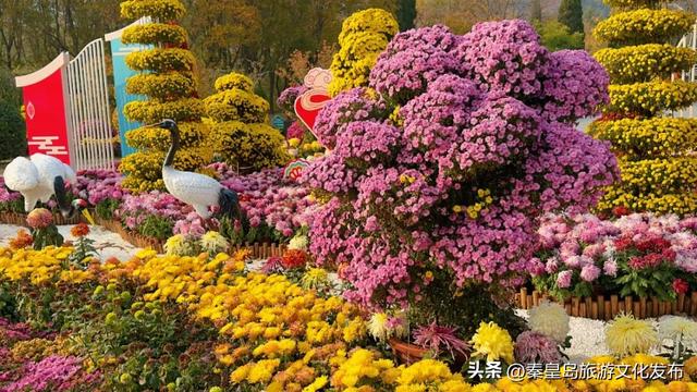 山海关长城金秋慢游季来喽！