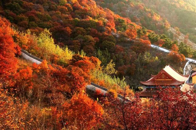 一眼惊艳！烟台这座小城最近太火了