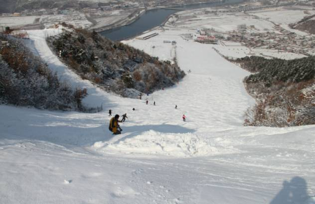 为了迎接南方小土豆，东三省都在整活