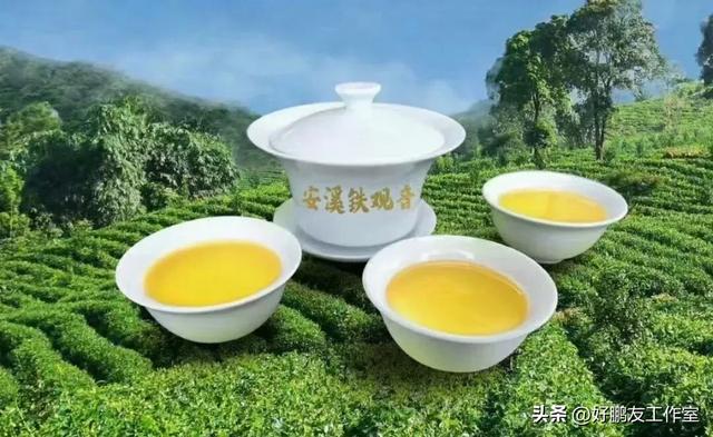 泉州中山南路定位后,要避免变成卖药一条街