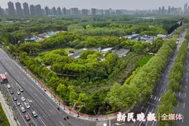 世纪公园“五一”起正式实行24小时开放，22时后减弱灯光禁止使用乐器图片