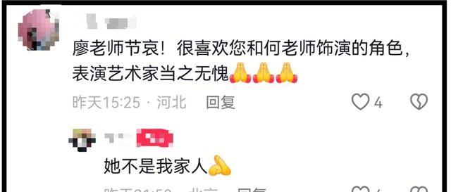 何晴葬礼举行！儿子手捧骨灰，遗像曝光惹泪目，廖京生现身送别