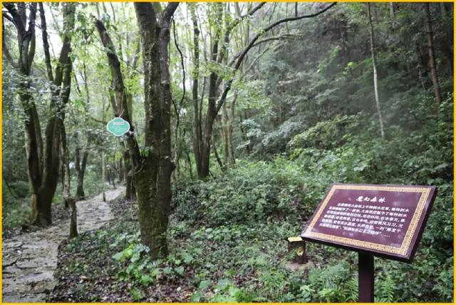 长乐庵景区滨水露营休闲暨第四届文化旅游节盛大开启！