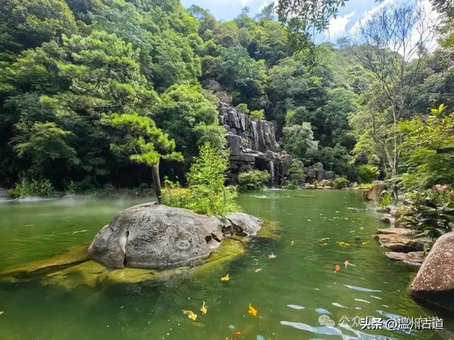 浙江小众绿宝石秘境！一个很多温州人都不知道的宝藏景区