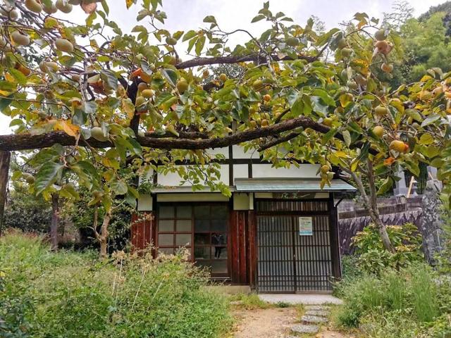 柳川春日纪行，柳川双影：从白秋歌牌到《漫长的告白》取景框