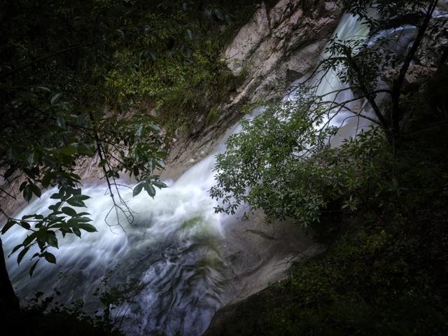 全国免票！高铁车票还打折，不要错过