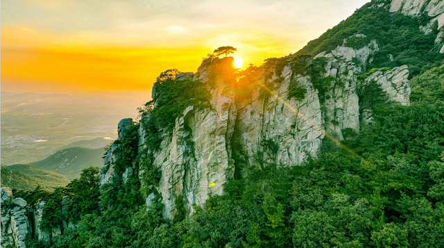 2026“马”年免费福利、吃临沂炒鸡送门票、年卡……千万别错过！