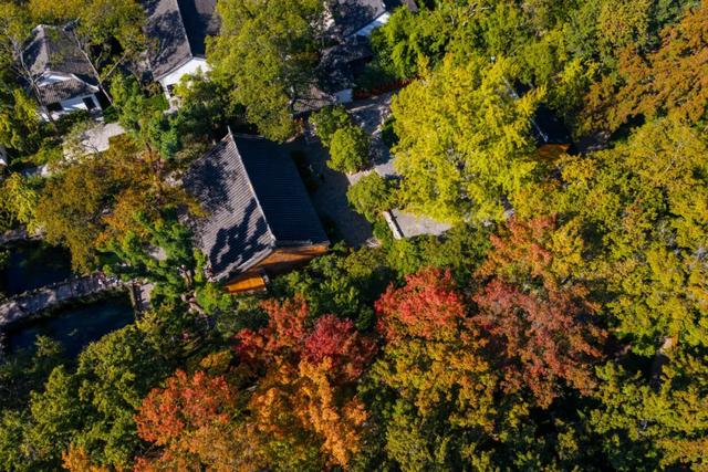 明天起,天平山提前至7点开园!