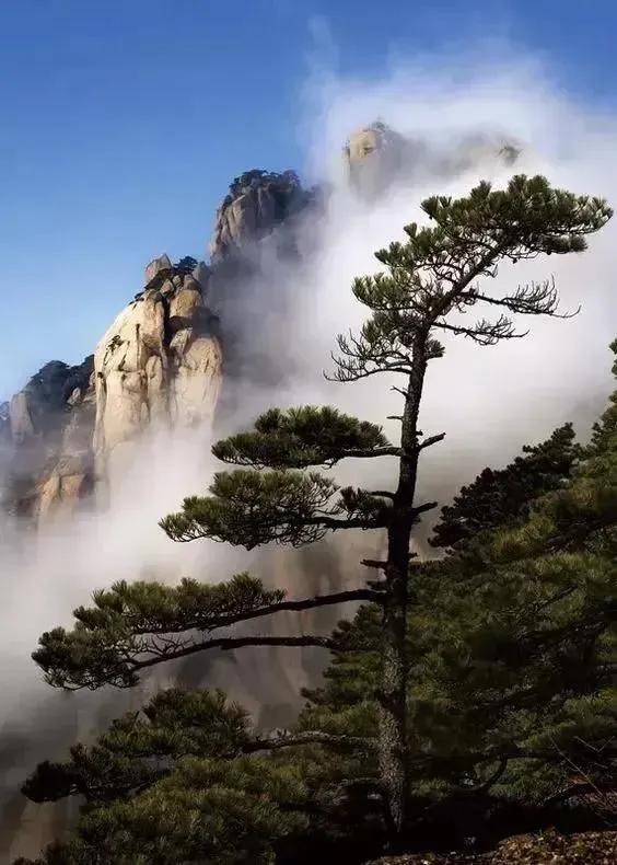 手机壁纸精美图片（99）
