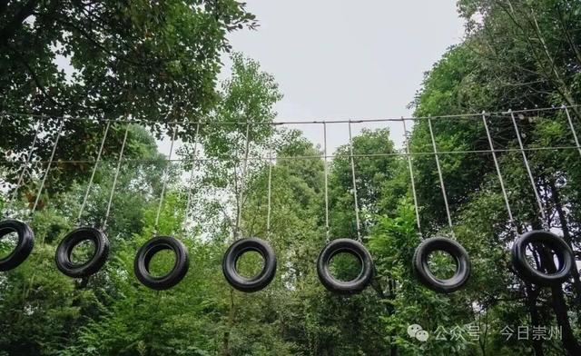 秋假去哪？崇州这些亲子游宝藏地不容错过