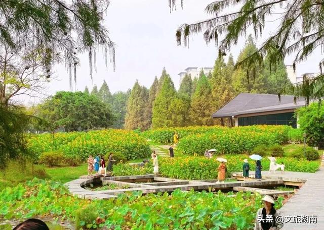 会玩的长沙人,都在这些地方过秋天