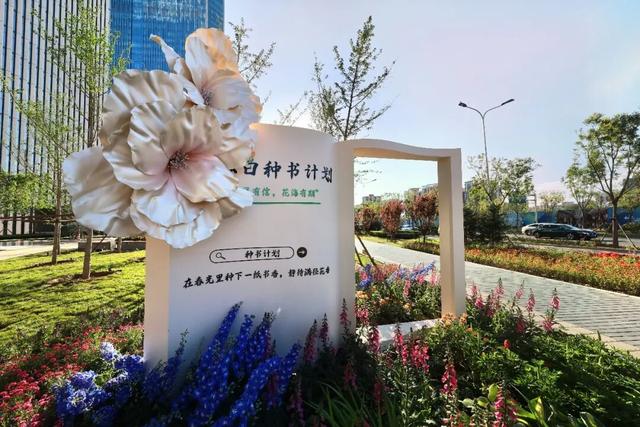 2026北京国际花展丨0元入场，10万平方米室外展区怎么玩