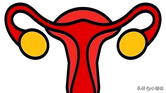 “生育能力”强的女性，身体这3个部位可能“突出”，你占几个？