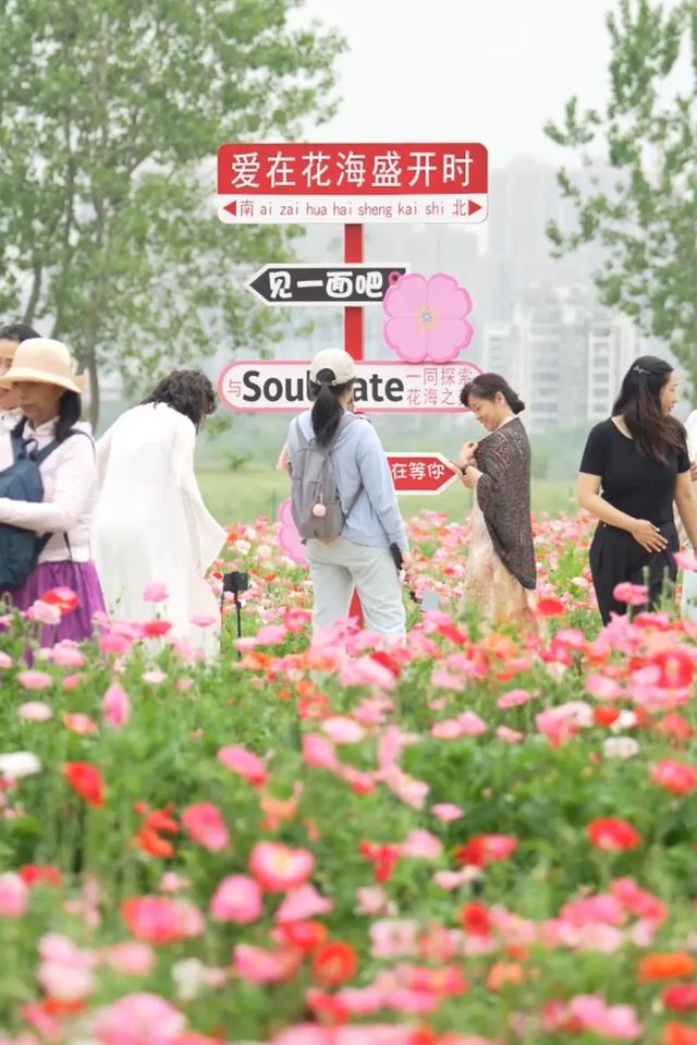 刷新认知！汉阳滨江这个“圈”大焕新
