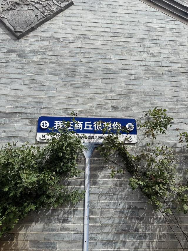 撒贝宁惊现河南古城！本地人惊呼：30年第一次见这么多人！