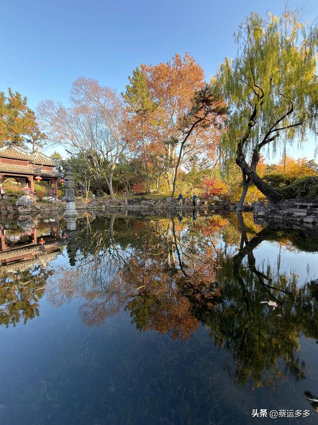 沪上园林古猗园已达颜值巅峰
