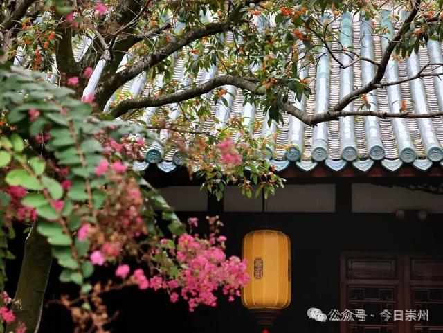 崇州新品“香氛”已上线，隔着屏幕都闻到了香味