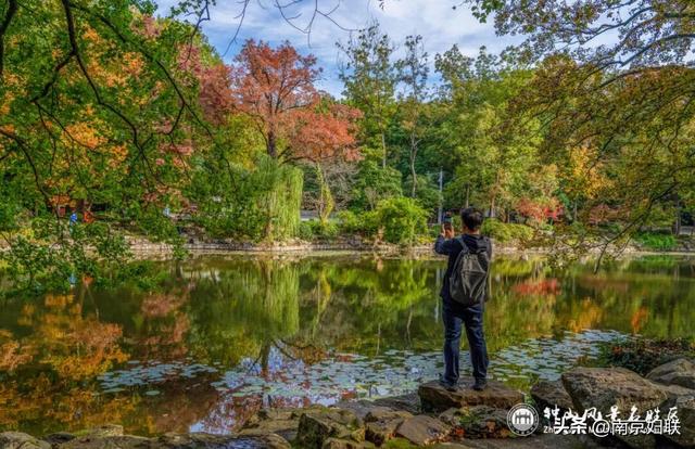 给个准信！盼了又盼的秋日“顶流”全部上线