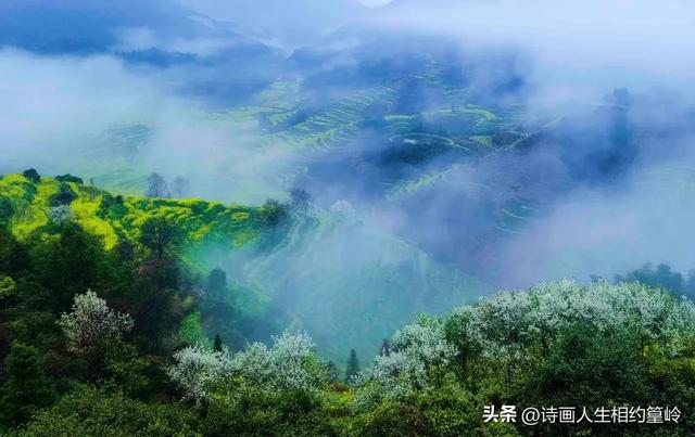 晴有晴的好，雨有雨的妙