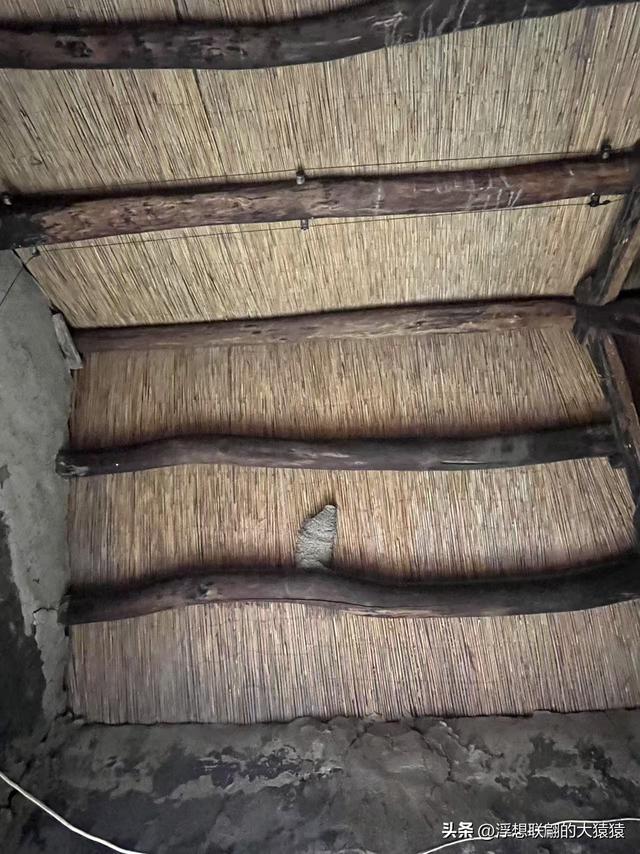 泰安肥城西陆房村里的大白菜