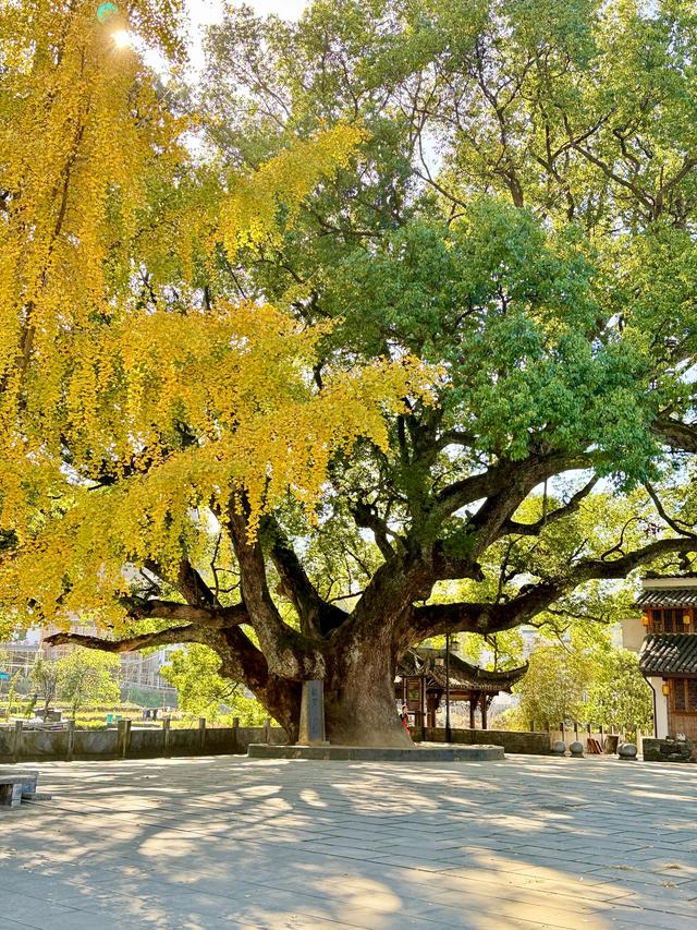 婺里古乡(上饶市婺源县)