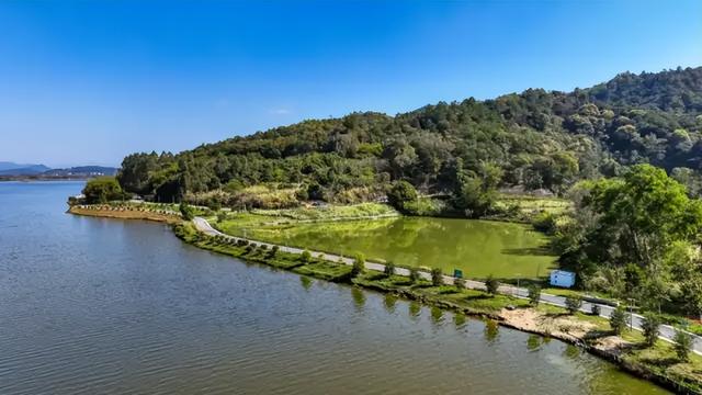 文商旅体，大旺一站配齐！