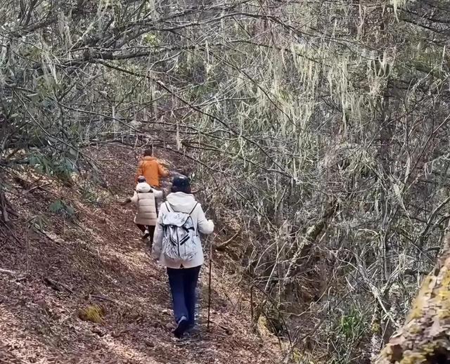 嫁给70岁富翁、包养4个男人？央视女主持私生活谣言有多离谱？