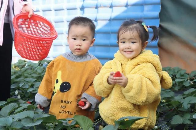 邂逅暖冬！来柳江，解锁治愈田园旅行