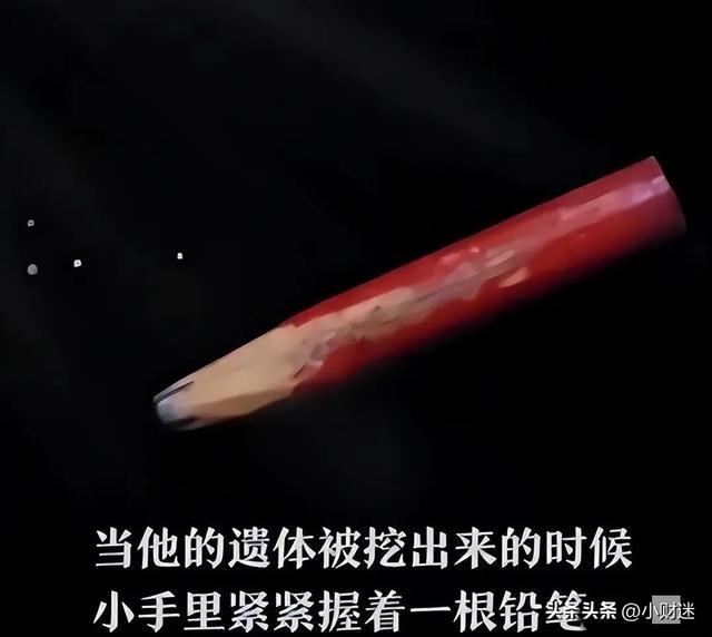 小萝卜头”宋振中罕见照片，手扶炮弹露出微笑，牺牲时未满9岁