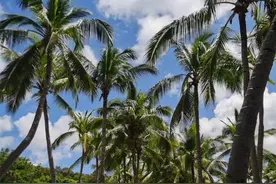 去战友所在城市旅游，要不要联系战友？睿智的人一般会这么做图片