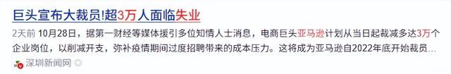 亚马逊3万白领失业！老板直言AI能干活	，科技圈裁员潮再升级