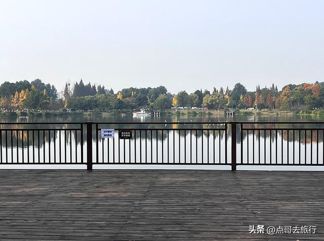 成都城市中的草原牧场，彩林比阿勒泰还美，公交车地铁直达！