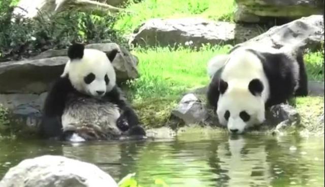 6天后，马克龙要来北京，将一张请帖递给中方，还想尽快办一件事