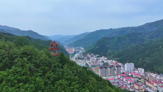 佛坪晚夏寻凉意，猫进秦岭躲避“秋老虎”！