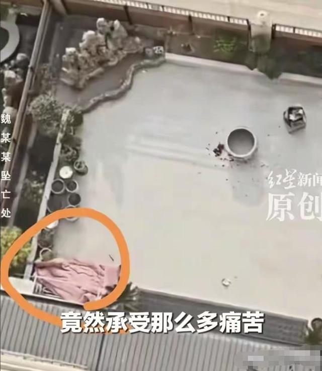 继父、同母异父弟弟？坠亡女教师身世曝光，这才是她走绝路的真相