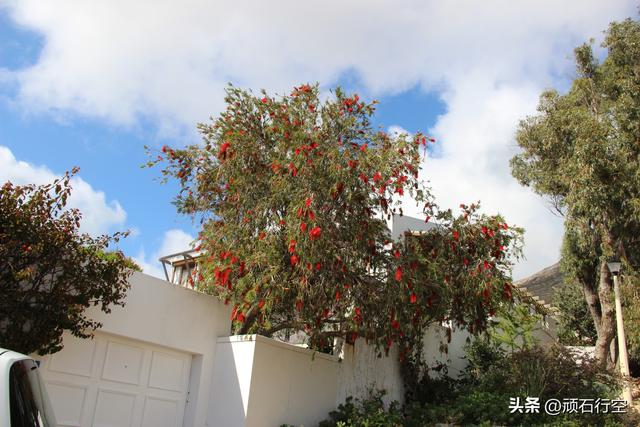 南部非洲：南非好旺角