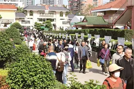 厦门今迎清明祭扫高峰图片