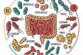 “肠道菌群”竟然能移植？这技术真是让人大开眼界！图片
