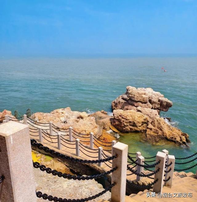 【乐游烟台】夏日顶流！烟台这座神仙小城也太会拿捏松弛感了