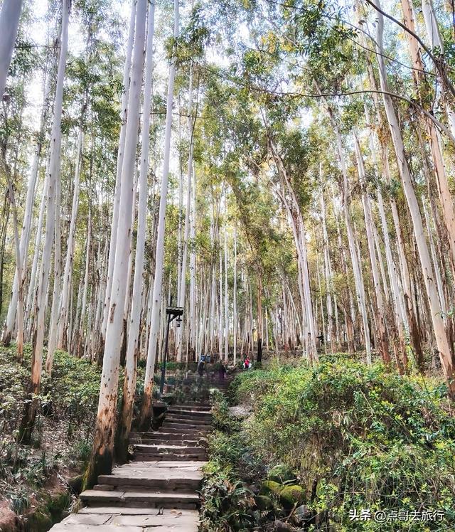 成都最近的6条爬山路线，超长的山脊线视野壮阔，都不要门票！